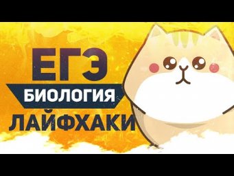 ЛАЙФХАКИ ЕГЭ биология