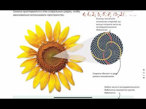 Теория Чисел - 10 теория - 19 задача - ПРОФИЛЬ ЕГЭ Абель
