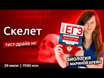 Скелет ЕГЭ | Пробная неделя мастер-группы с Мариной Брейн