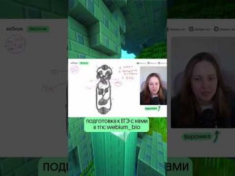 Разбираем картинку с ЕГЭ! 