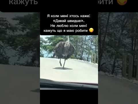 19 лютого 2026 р.