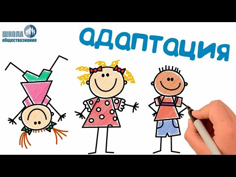 Социализация индивида 