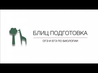 ЗАДАНИЯ 4 и 5 / ОГЭ ПО БИОЛОГИИ / БЛИЦ-ПОДГОТОВКА с Александрой Соболевой