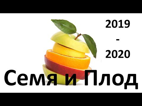 8. Плод (6 класс) - биология, подготовка к ЕГЭ и ОГЭ 2020 8. Плод (6 класс) - биология, подготовка к ЕГЭ и ОГЭ 2020