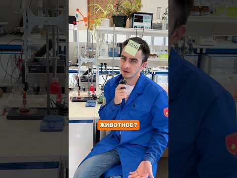 КТО ТАКОЙ ЗАВЛАБ?