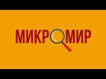 Микромир