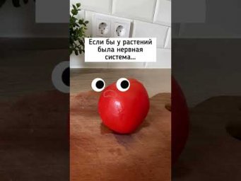 Если бы у растений была нервная система #Shorts