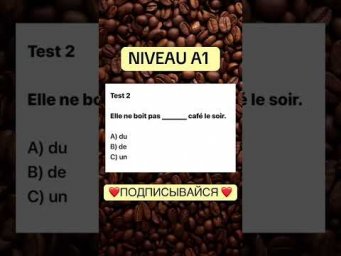 Test 2 NIVEAU A 1 #французскийснуля #французскийонлайн #французскийпополочкам #учитьфранцузский