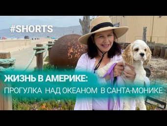 Жизнь в Америке. Океан в Санта-Монике. #shorts