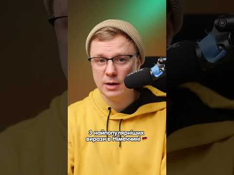 Як сказати німецькою &laquo;я зайнятий&raquo;? #німецька #німецькамова #вчительукраїнської #німецькаонлайн