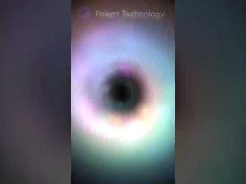 Білі діри існують? | Do white holes exist?