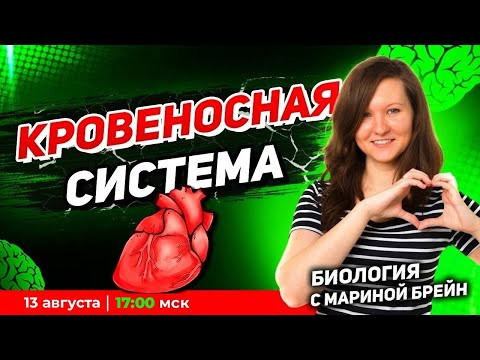 Кровеносная система ЕГЭ | Пробная неделя мастер-группы с Мариной Брейн Кровеносная система ЕГЭ | Пробная неделя мастер-группы с Мариной Брейн