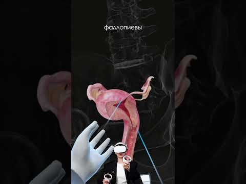 а полезный файл с полезняком, можешь получить в моём в тг канале ❤️#биология #сотка #егэбиология а полезный файл с полезняком, можешь получить в моём в тг канале ❤️#биология #сотка #егэбиология