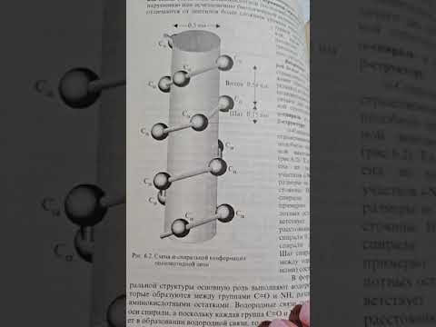 Полипептиды #химия Полипептиды #химия