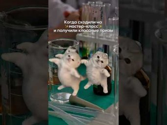Ждём вас на наших мастер-классах 10 августа! тгк: alles_science