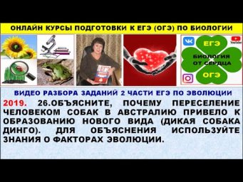 ДВЕ ЗАДАЧИ ПРО МЕХАНИЗМ ВИДООБРАЗОВАНИЯ