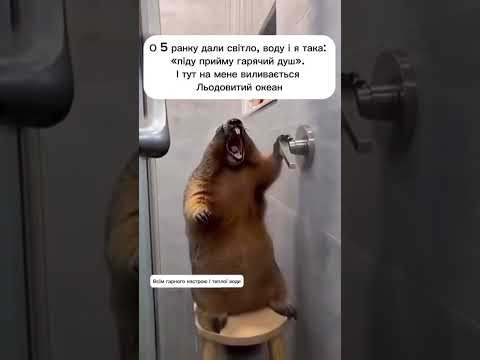 27 листопада 2025 р. 27 листопада 2025 р.
