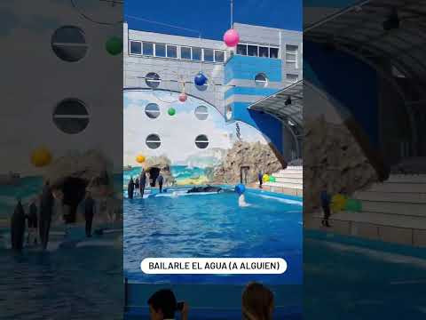Bailarle el agua a alguien Bailarle el agua a alguien