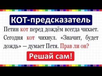 Кот-предсказатель