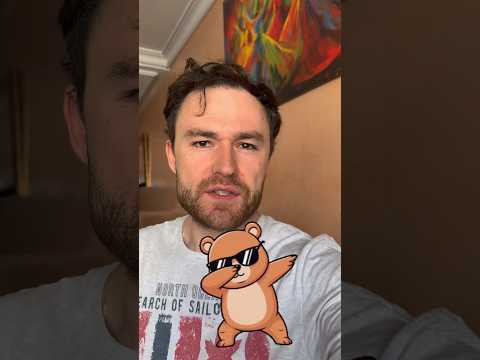 bear - не только медведь bear - не только медведь