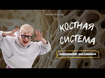 ОПОРНО-ДВИГАТЕЛЬНАЯ СИСТЕМА | Целевой экзамен