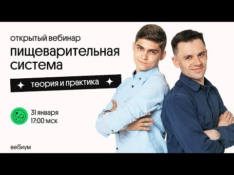 ПИЩЕВАРИТЕЛЬНАЯ СИСТЕМА | ЕГЭ по биологии | Теория и практика