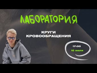 Лаборатория | Кровеносная система. Круги кровообращения | ЦТ, ЦЭ по Биологии | Ян Менделеев