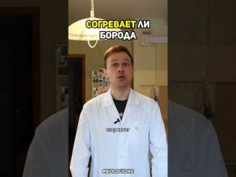 Согревает ли борода? 