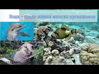 5 класс. Урок 28 апреля 2022