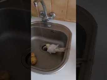 Ох, жара.... Hace calor...