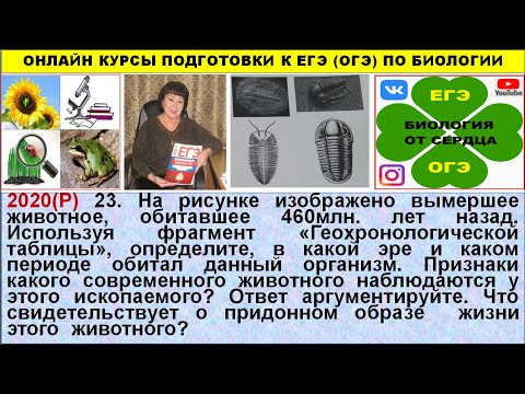 НОВОЕ ЗАДАНИЕ ИЗ ЕГЭ 2020 ГОДА ПО ГЕОХРОНОЛОГИЧЕСКОЙ ТАБЛИЦЕ