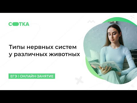 Типы нервных систем у различных животных | ЕГЭ БИОЛОГИЯ 2020 | Онлайн-школа СОТКА