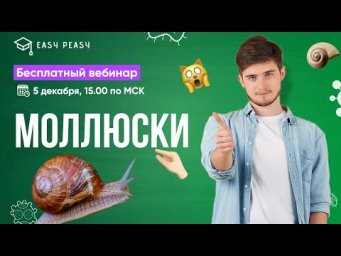 Моллюски | Илья Кац | Онлайн-школа EASY PEASY | ОГЭ биология