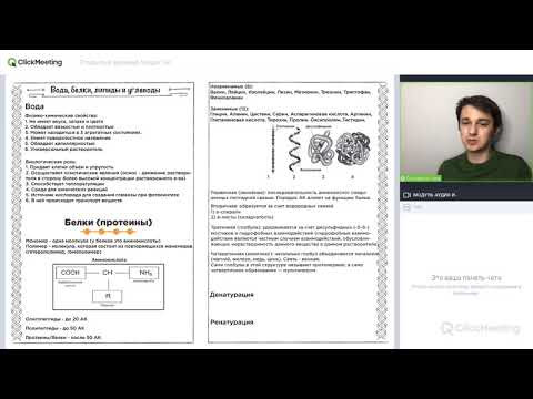 Белки | Липиды | Углеводы | Биология ОГЭ ЕГЭ Белки | Липиды | Углеводы | Биология ОГЭ ЕГЭ