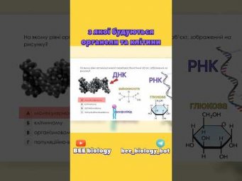 Розбираємо пробний тест НМТ 2026. Не проґав свої бали  #нмт #пробнийнмт