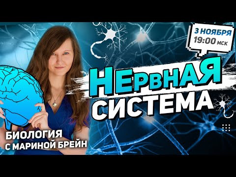 ВСЯ НЕРВНАЯ СИСТЕМА | ЕГЭ ПО БИОЛОГИИ
