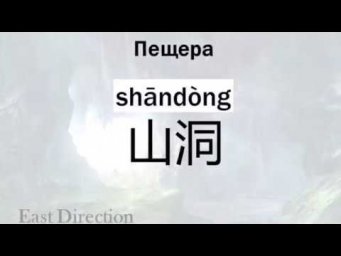 Дикая природа _ китайский_флешкарточки