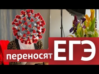 Новости: из-за коронавируса переносят ЕГЭ