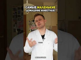 ☀️ВК-СЕРГЕЙ ПОДКОВАЛЬНИКОВ #муравьи #домашниеживотные #природа