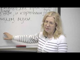 Русский язык. Знаки препинания при однородных членах предложения