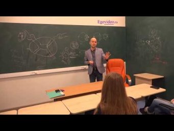 Виды рецепторов дермы
