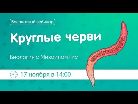 Круглые черви. ОГЭ|ЕГЭ биология