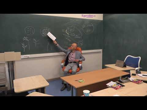 Систематизация знаний перед ЕГЭ-2019. Часть 17 Систематизация знаний перед ЕГЭ-2019. Часть 17