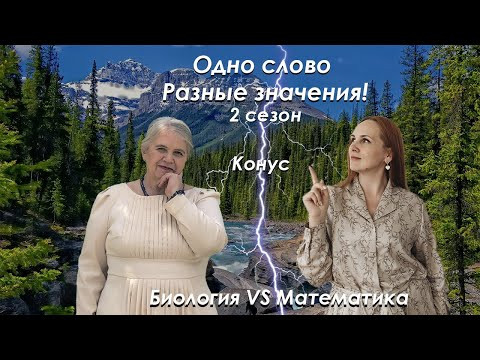 Биология VS Математика| сезон 2| Конус| Надежда Павловна Медведева