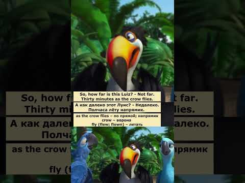 as the crow flies (Рио) #английский  #английскийпофильмам #english