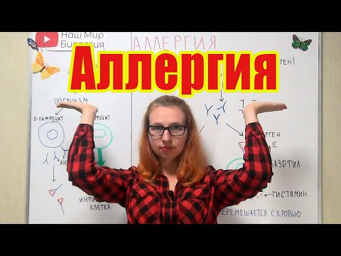 Аллергия. Что такое аллергия? Механизм проявления аллергической реакции.