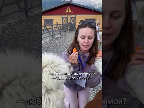 Забирай подарок по ссылке в шапке профиля❤️