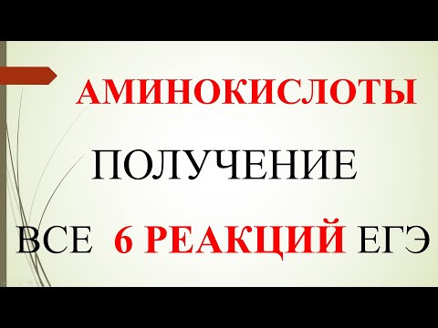 Аминокислоты. Получение.  Все 6 реакций ЕГЭ.