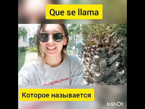 Готовим в Испании. Испанский язык через кухню ☺ Фаршированные баклажаны. Валенсия