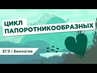 ЦИКЛ ПАПОРОТНИКООБРАЗНЫХ l ЕГЭ Биология | Даниил Дарвин